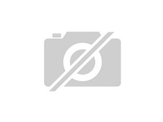 Ziegensittich gesucht